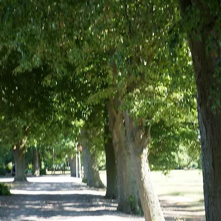 Tiendegaarden Mon